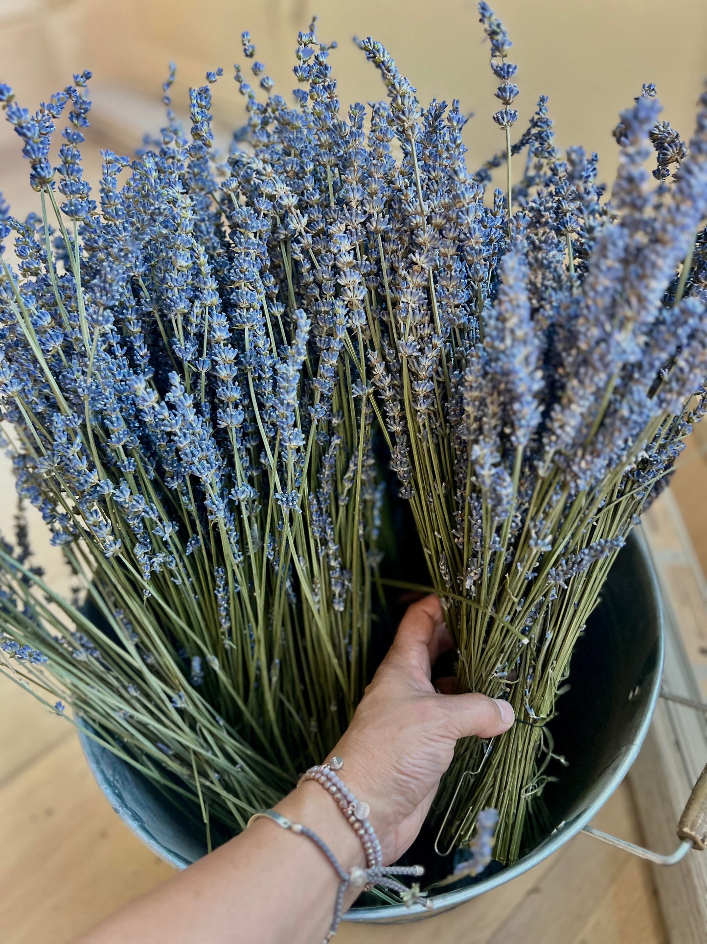 Dried Long Stem Lavender