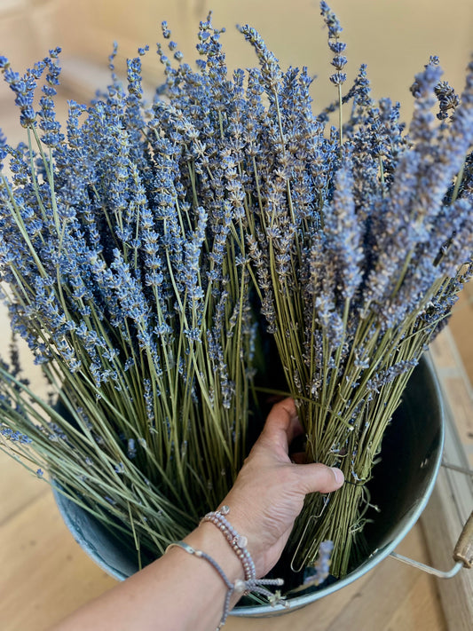 Dried Long Stem Lavender